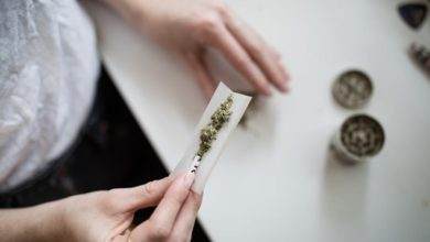 legalization marijuana