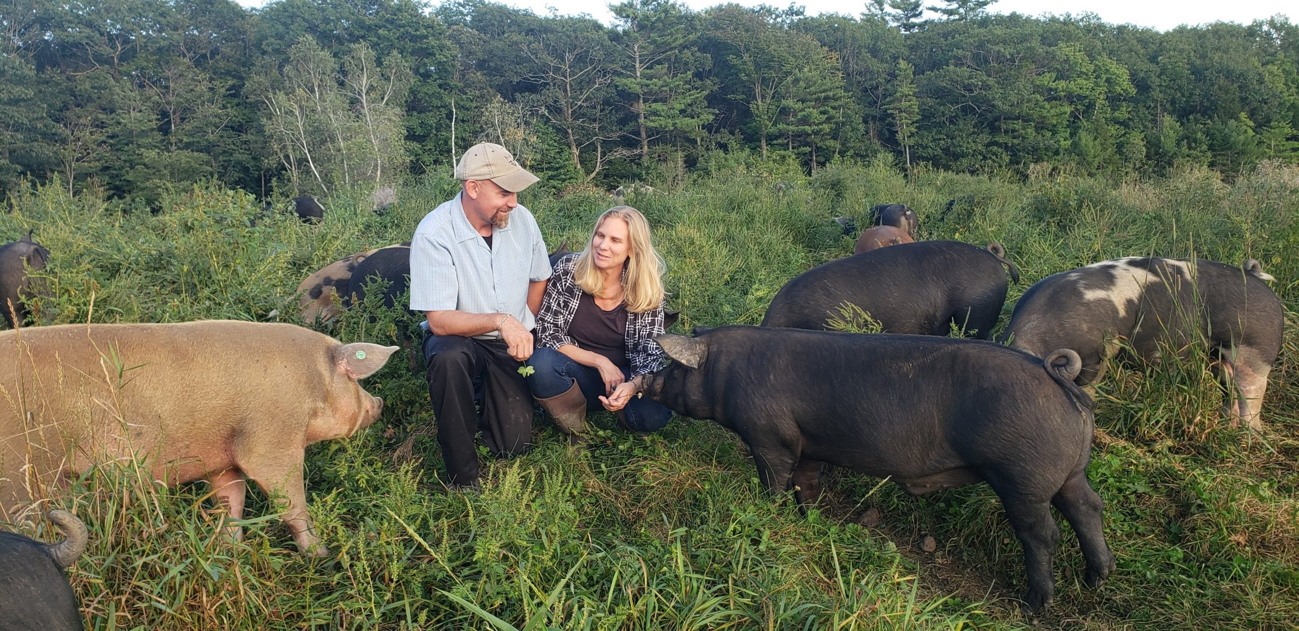 singing prairie farms