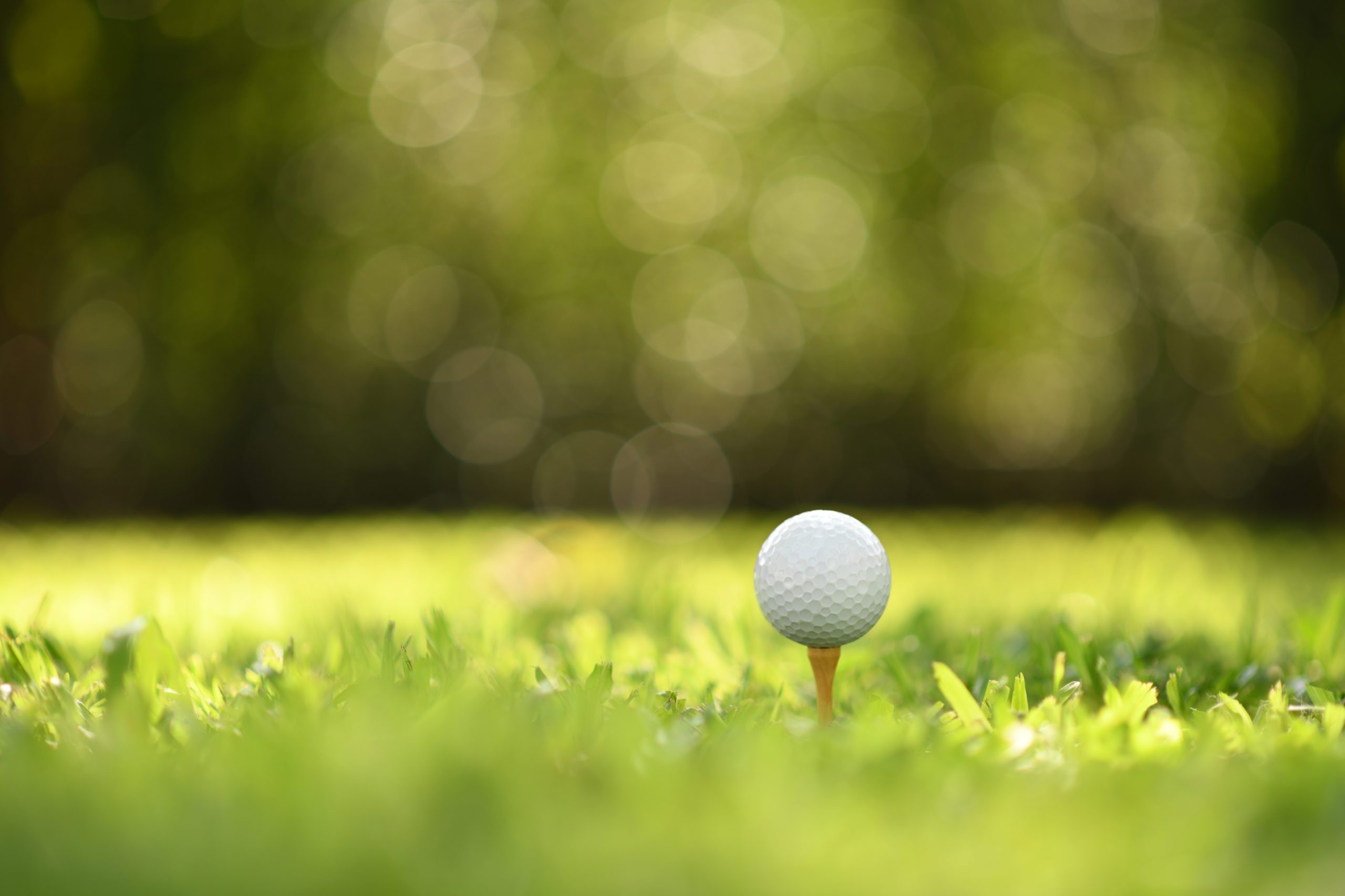 Wennmaker and Sieg win season-opening golf tournament at Lake of the ...