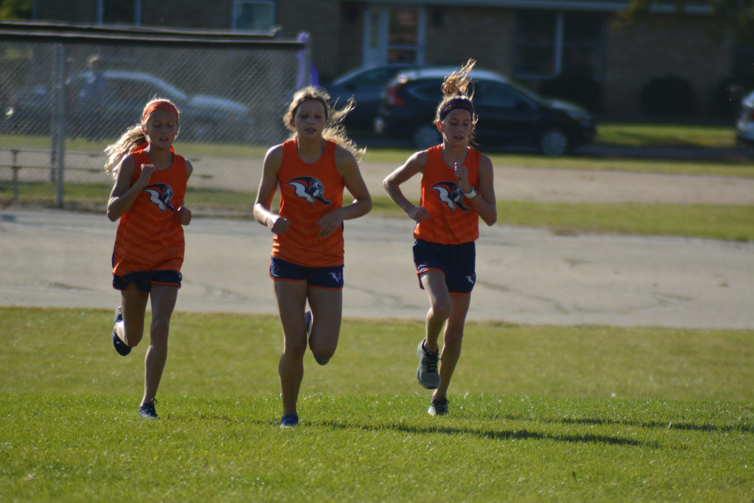 Bulldogs take top 7 spots at IESA Class 3A sectional meet Mahomet Daily