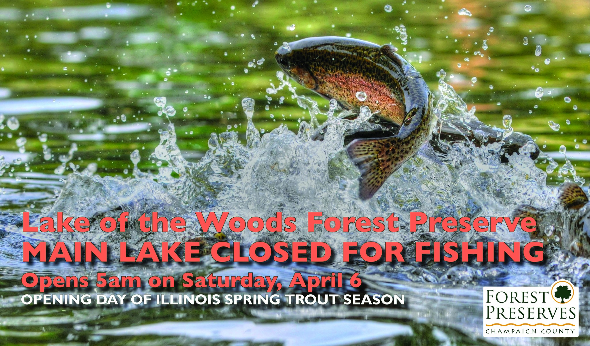 Trout: Keep or Release? That is the Question - MidWest Outdoors